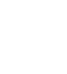 accordion-link-icon
