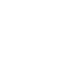 accordion-link-icon